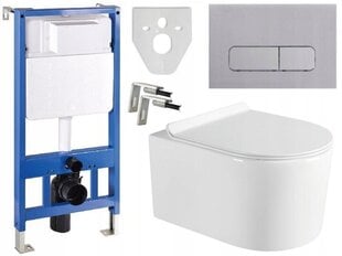 Рама для туалета скрытого монтажа Mexen 5in1 Fenix Slim 6/4 L, 4,5/3 L, 8 см с унитазом Sofia Rimless Slim цена и информация | Унитазы | hansapost.ee