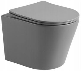 WC komplekt Mexen 5in1 Fenix Slim koos wc-potiga Rico Rimless Slim, Light grey mat цена и информация | Унитазы | hansapost.ee