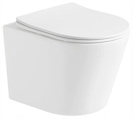 WC komplekt Mexen 5in1 Fenix Slim koos wc-potiga Rico Rimless Slim, White mat hind ja info | WС-potid | hansapost.ee