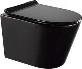 WC komplekt Mexen 5in1 Fenix Slim koos wc-potiga Rico Rimless Slim, Black mat цена и информация | Унитазы | hansapost.ee