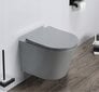 WC komplekt Mexen 5in1 Fenix Slim koos wc-potiga Rico Rimless Slim, Light grey mat hind ja info | WС-potid | hansapost.ee