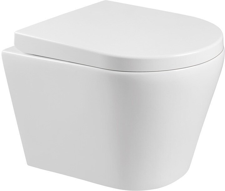 WC-komplekt Mexen 5in1 Fenix Slim koos WC-potiga Rico hind ja info | WС-potid | hansapost.ee