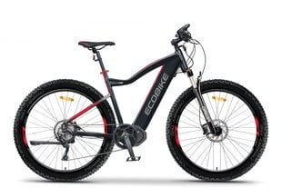 Elektriratas Ecobike RX 500 19", 17,5 ah LG, 2021 hind ja info | EcoBike Sport, puhkus, matkamine | hansapost.ee