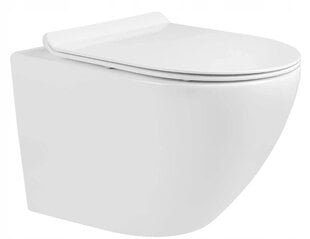 Рама для туалета скрытого монтажа Mexen 5in1 Fenix Slim 6/4 L, 4,5/3 L, 8 см с унитазом Lena Rimless Slim цена и информация | Унитазы | hansapost.ee