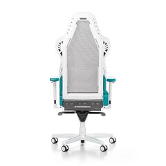 Mänguritool, DXRacer Air R1S-WQG, valge/hall/sinine hind ja info | Kontoritoolid | hansapost.ee