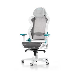 Игровое кресло DXRacer AIR R1S-WQG, белое/серое/синие цена и информация | Офисные кресла | hansapost.ee