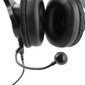 Kõrvaklapid Plugger Studio DJH40-M hind ja info | Kõrvaklapid | hansapost.ee