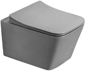 WC-pott Mexen Teo Rimless Duroplast Slim koos aeglaselt sulguva kaanega, Light grey mat цена и информация | Унитазы | hansapost.ee
