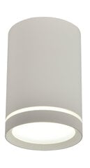 Candellux lighting valgusti Tuba price and information | Ceiling lamps | hansapost.ee