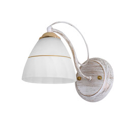 Candellux lighting светильник Fanetta 21-77042 цена и информация | Настенный светильник Конусы | hansapost.ee