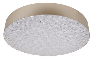 Candellux lighting valgusti Luxon 14-75307 hind ja info | Laelambid | hansapost.ee