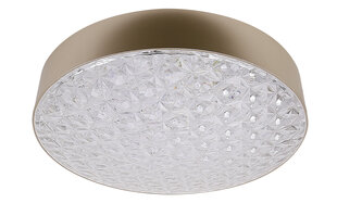 Candellux lighting valgusti Luxon 13-75154 hind ja info | Laelambid | hansapost.ee