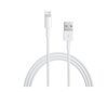 Apple Lightning to USB Cable (0.5m) - ME291ZM/A цена и информация | Mobiiltelefonide kaablid | hansapost.ee