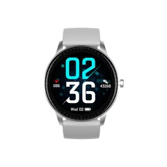 Denver SW-173, серый цена и информация | Смарт-часы (smartwatch) | hansapost.ee