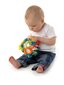 PLAYGRO arendav pall Mängi ja õpi, 4082679 hind ja info | Beebide mänguasjad | hansapost.ee