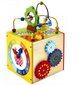 Arendav mänguasi Viis Ühes Kuubik цена и информация | Beebide mänguasjad | hansapost.ee