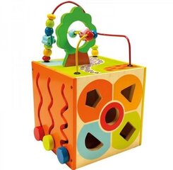 Arendav mänguasi Viis Ühes Kuubik цена и информация | Игрушки для малышей | hansapost.ee