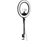 Led lamp Elgato Ring Light, 2500 Lm, must цена и информация | Fotovalgustid, ringvalgustid ja fotostuudiod | hansapost.ee