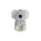 Magav Koala Fisher Price цена и информация | Beebide mänguasjad | hansapost.ee