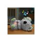 Magav Koala Fisher Price цена и информация | Beebide mänguasjad | hansapost.ee