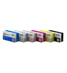 Tint Epson light Cyan| DISCPRODUCER™ PP-100 цена и информация | Картриджи для струйных принтеров | hansapost.ee