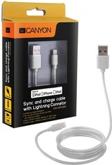 Canyon CNS-MFICAB01W, Lightning/USB-A, 1 m цена и информация | Кабели и провода | hansapost.ee