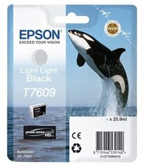 Epson HC (C13T76094010), очень светлый черный картридж для струйных принтеров цена и информация | Картридж Actis KH-653CR | hansapost.ee