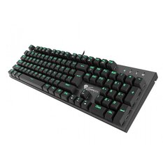 Genesis Thor 300, Gaming keyboard, US цена и информация | Клавиатура с игровой мышью 3GO COMBODRILEW2 USB ES | hansapost.ee