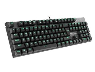 Genesis Thor 300, Gaming keyboard, US цена и информация | Клавиатура с игровой мышью 3GO COMBODRILEW2 USB ES | hansapost.ee