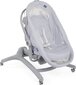 Häll Chicco Baby Hug 4in1, Stone hind ja info | Reisivoodid | hansapost.ee