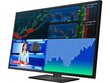 Monitor Lcd 42.5" HP Z43 4K Usb- C 65 W hind ja info | Monitorid | hansapost.ee