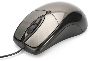 Ednet 81046, черный цена и информация | Компьютерные мыши | hansapost.ee