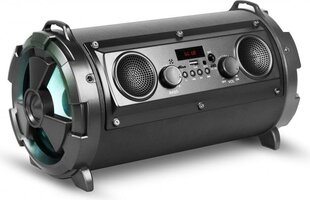 Rebeltec SoundTube 190, must hind ja info | Rebeltec Heli- ja videoseadmed, klaviatuurid ja hiired | hansapost.ee