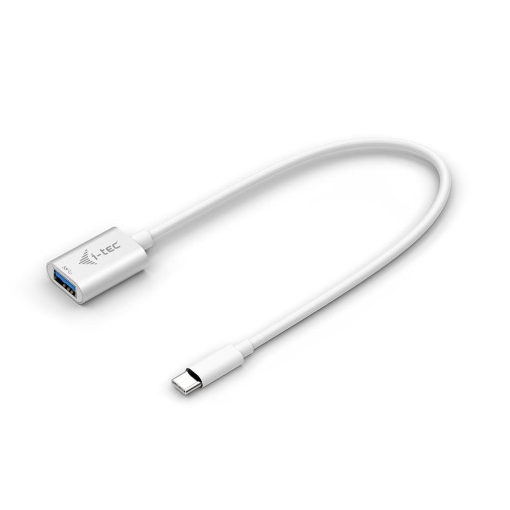 Kaabel Usb A - Usb C i-Tec C31ADA, valge цена и информация | USB adapterid ja jagajad | hansapost.ee