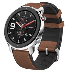 Amazfit GTR Stainless Steel цена и информация | Смарт-часы (smartwatch) | hansapost.ee