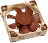 Noctua NF-A4x10 PWM цена и информация | Arvuti ventilaatorid | hansapost.ee