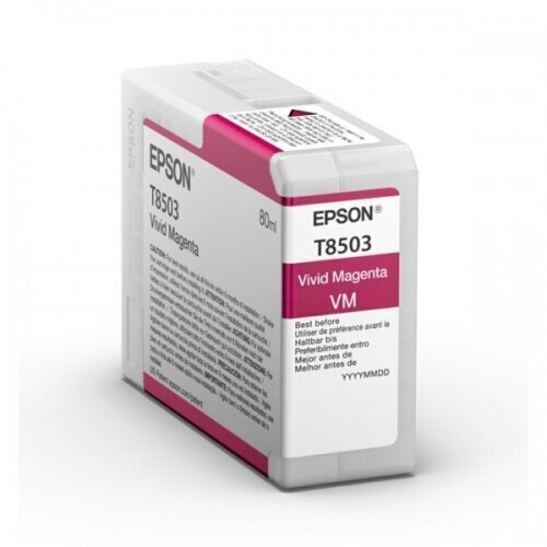 Epson C13T850300 hind ja info | Tindiprinteri kassetid | hansapost.ee