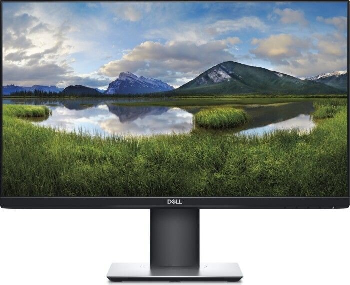 Dell P2421 price and information | Monitorid | hansapost.ee