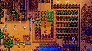 Stardew Valley NSW hind ja info | Chucklefish Arvutid ja IT- tehnika | hansapost.ee