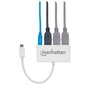 Manhattan 163552 цена и информация | USB adapterid ja jagajad | hansapost.ee