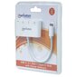 Manhattan 163552 hind ja info | USB adapterid ja jagajad | hansapost.ee