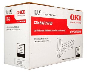 OKI 43870008 hind ja info | Laserprinteri toonerid | hansapost.ee