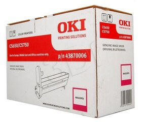 OKI 43870006 hind ja info | Laserprinteri toonerid | hansapost.ee