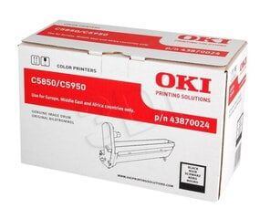 OKI 43870024 hind ja info | Laserprinteri toonerid | hansapost.ee