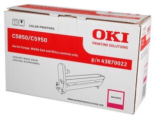 OKI 43870022 hind ja info | Laserprinteri toonerid | hansapost.ee