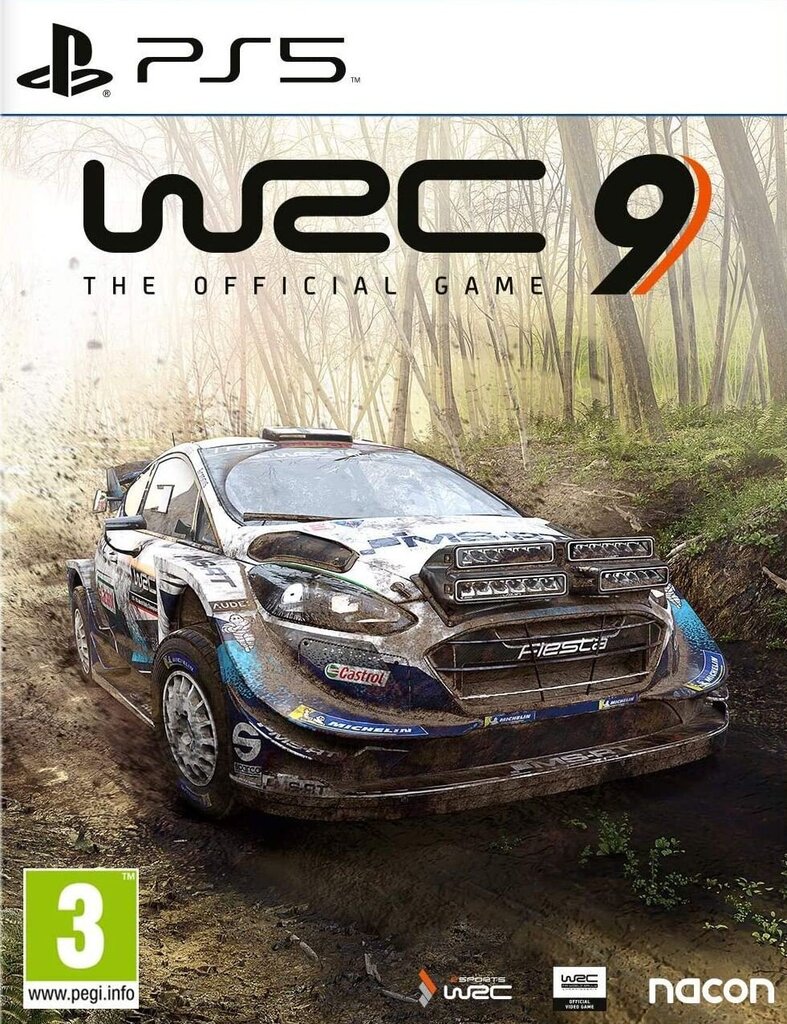 PlayStation 5 mäng - WRC 9: FIA World Rally Championship цена и информация | Konsooli- ja arvutimängud | hansapost.ee