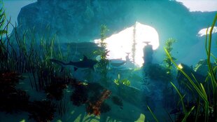 PlayStation 5 mäng Maneater hind ja info | Deep Silver Arvutid ja IT- tehnika | hansapost.ee