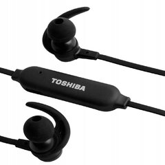 Toshiba RZE-BT31E hind ja info | Toshiba Heli- ja videoseadmed, klaviatuurid ja hiired | hansapost.ee