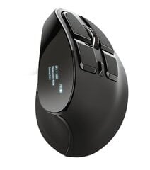 Trust Voxx 2389868, черный цена и информация | Компьютерные мыши | hansapost.ee
