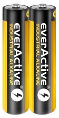 everActive EVLR03S2IK цена и информация | Аккумуляторы для видеокамер | hansapost.ee